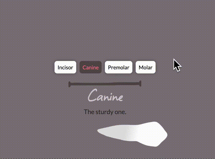 Animated selector component