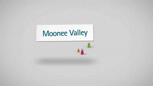 Moonee Valley Parking Strategy